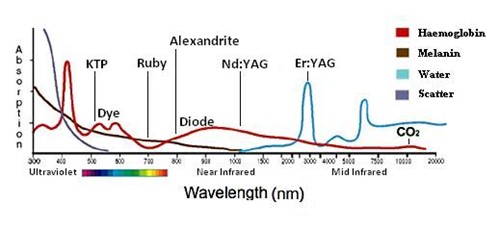Absorption characteristics of laser chromophores